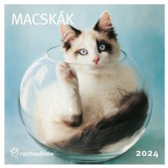 Cardex falinaptár 2024 macskák