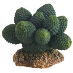 Hobby dekor kaktusz 7cm