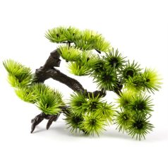 JK műnövény bonsai kicsi 17cm